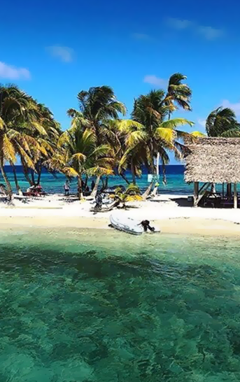Bask in tropical sunshine in the middle of winter